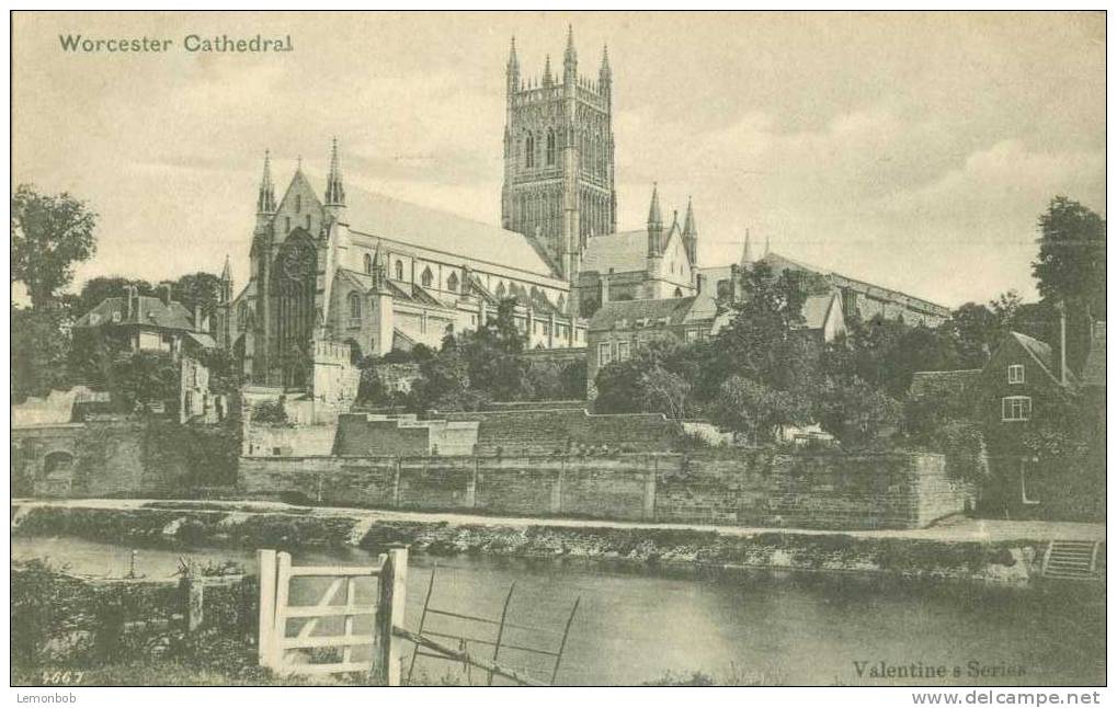 Britain United Kingdom - Worcester Cathedral - Early 1900s Postcard [P1821] - Autres & Non Classés