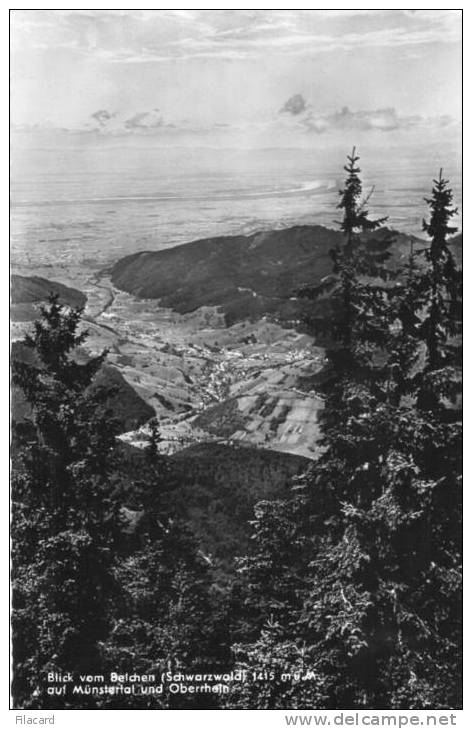 11561   Germania  Blick Vom Betchen (Schwarzwald)  1415 M. U. M.  Auf  Munstertal  Und Oberrhein  NV - Muenstertal