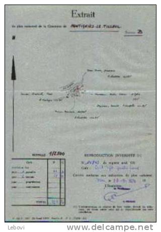 MONTIGNIES-LE-TILLEUL - Extrait Du Plan Cadastral (1973) - Topographische Karten