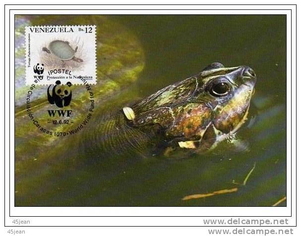 Vénézuéla: Très Belle Carte Du WWF Sur La Tortue Aquatique TB*** - Turtles