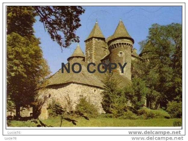 LAGUIOLE -  Château Du BOUSQUET - Laguiole