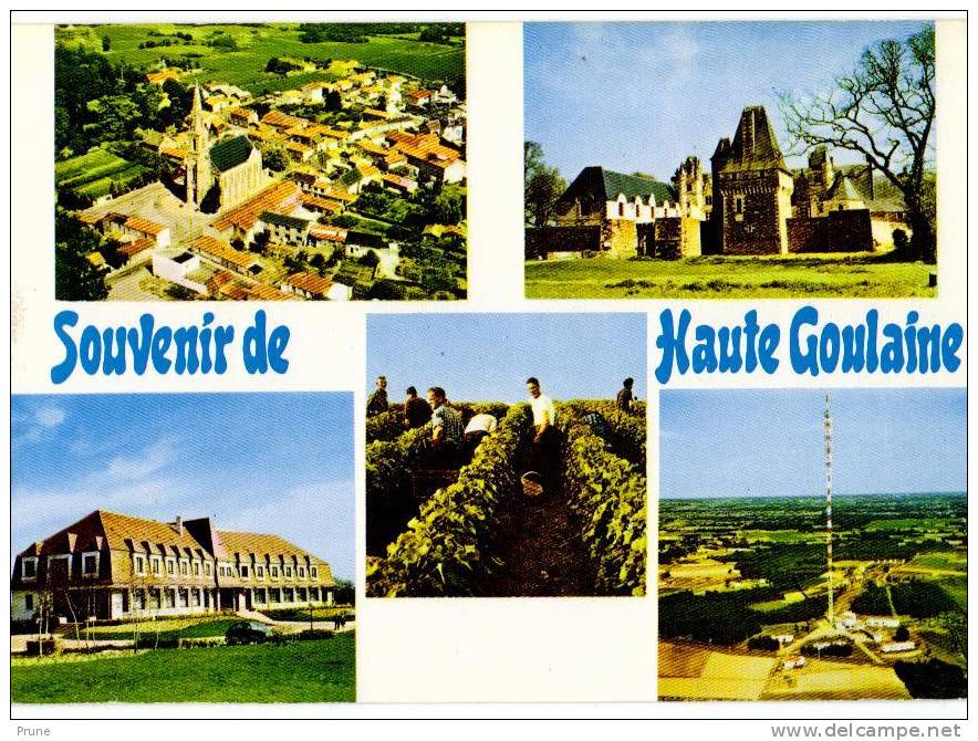 *44 - HAUTE GOULAINE - Vue Aérienne - Château - Auberge De La Lande St Martin - Vendanges - Centre émetteur - Combier - Haute-Goulaine