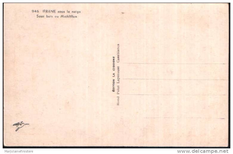 MAROC - IFRANE Sous La Neige. - Sous Bois Au Michliffen. Edition La Cigogne N° 946 - Autres & Non Classés