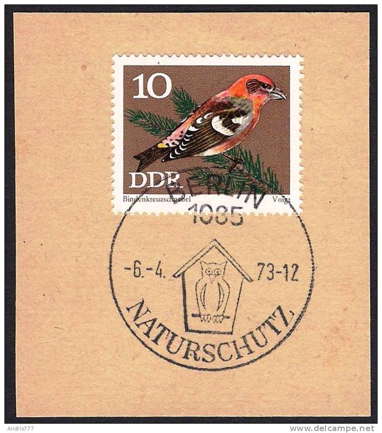 Germany East DDR 1973  Bird Owl Eule Chouette  Special Postmark Naturschutz (cut) - Gufi E Civette