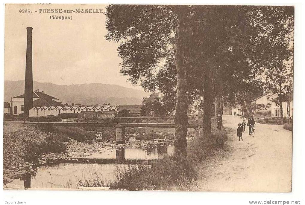 CPA  FRESSE SUR MOSELLE 88 VOSGES - Fresse Sur Moselle