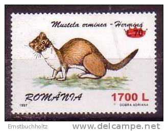 Rumänien Romania 2000 Surcharged 1700L On 70L Fauna HermelinSc 4349 - Nuovi