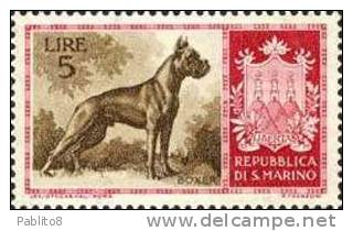 SAN MARINO 1956 CANI L. 5 TIMBRATO - Oblitérés