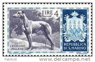 SAN MARINO 1956 CANI L. 4 TIMBRATO - Gebruikt