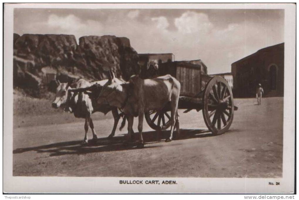 CPA YEMEN ADEN RP BULLOCK CART No24 EGYPTIAN CIGARETTES FACTORY MS LEHEM & CO MORE ADEN LISTED @ 1 EURO OR LESS - Autres & Non Classés