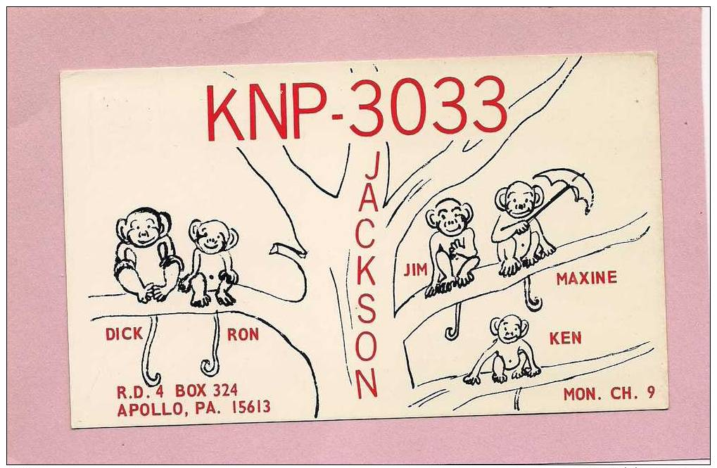 Monkeys, Umbrella, Monkey, APOLLO, PENNSYLVANIA, PA, USA, CB-QSL Amateur Radio Postcard Carte Postale - CB