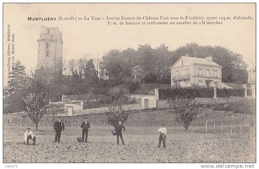 Agriculture - Métiers - Culture - Jardiniers - Montlhéry - Cultures