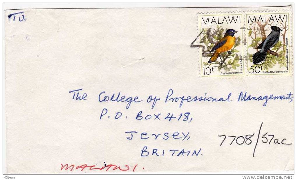 Malawi: Lettre Avec Timbres Oiseaux - Malawi (1964-...)