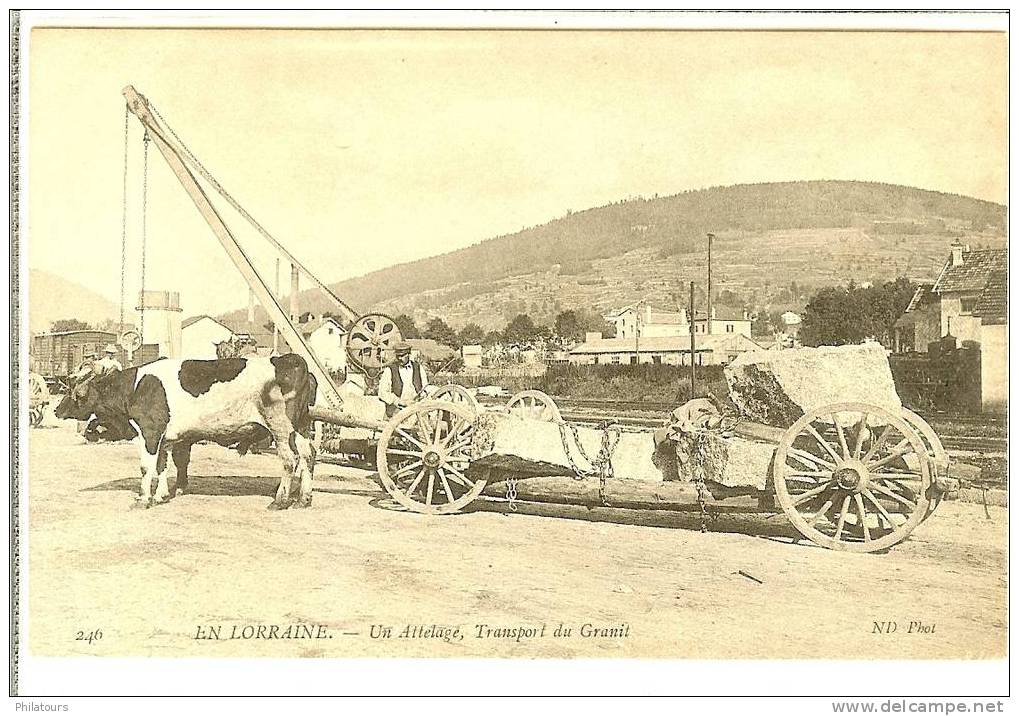 EN LORRAINE  -  Un Attelage, Transport De Granit  (RARE) - Lorraine