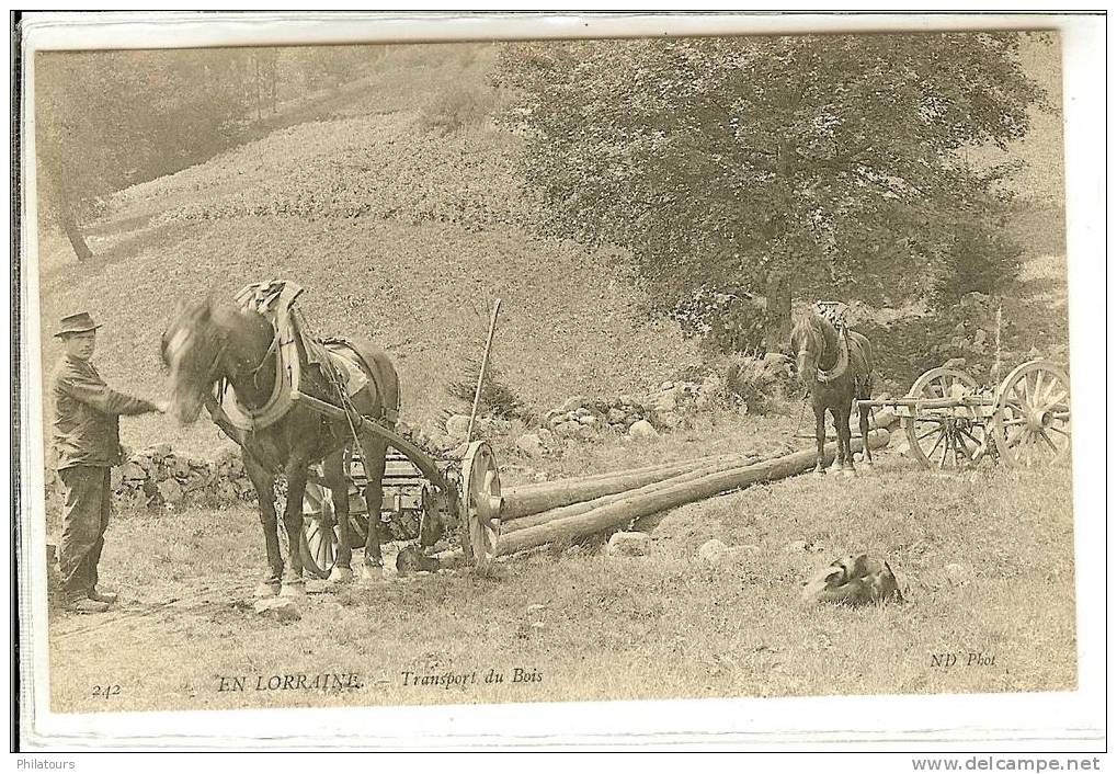 EN LORRAINE  -  Transport Du Bois - Lorraine