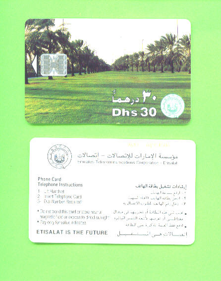 UNITED ARAB EMIRATES - Chip Phonecard As Scan - Emiratos Arábes Unidos