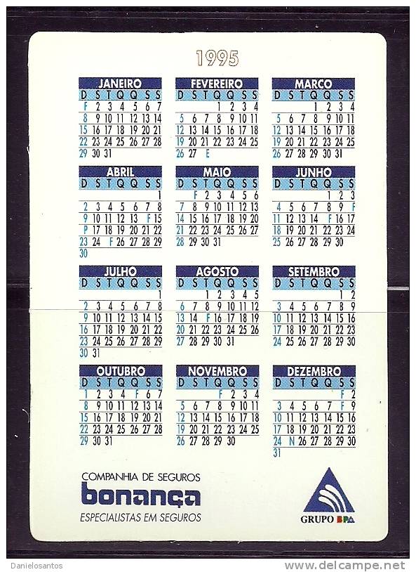 1995 Pocket Poche Bolsillo Bolso Calendar Calandrier Calendario Portugal Bonança Seguros - Small : 1991-00