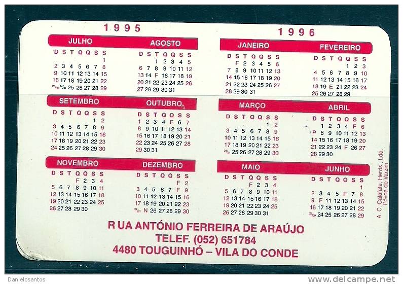 1995 Pocket Poche Bolsillo Bolso Calendar Calandrier Calendario Portugal Discoteca - Small : 1991-00