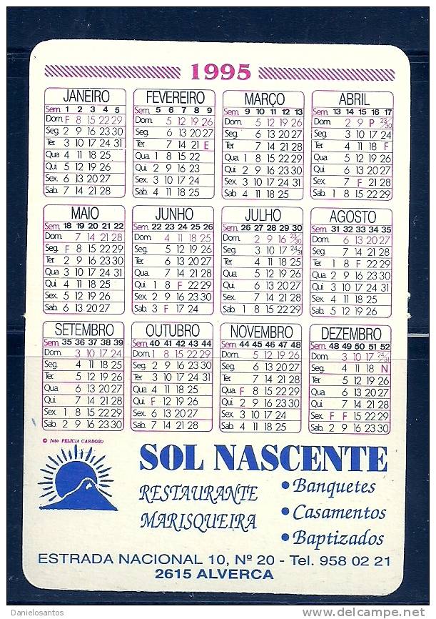 1995 Pocket Poche Bolsillo Bolso Calendar Calandrier Calendario Portugal Flowers Roses - Small : 1991-00