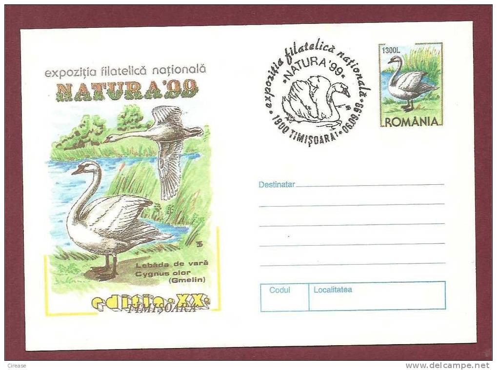 Bird Cygnus Olor. ROMANIA Postal Stationery Cover 1999 - Swans