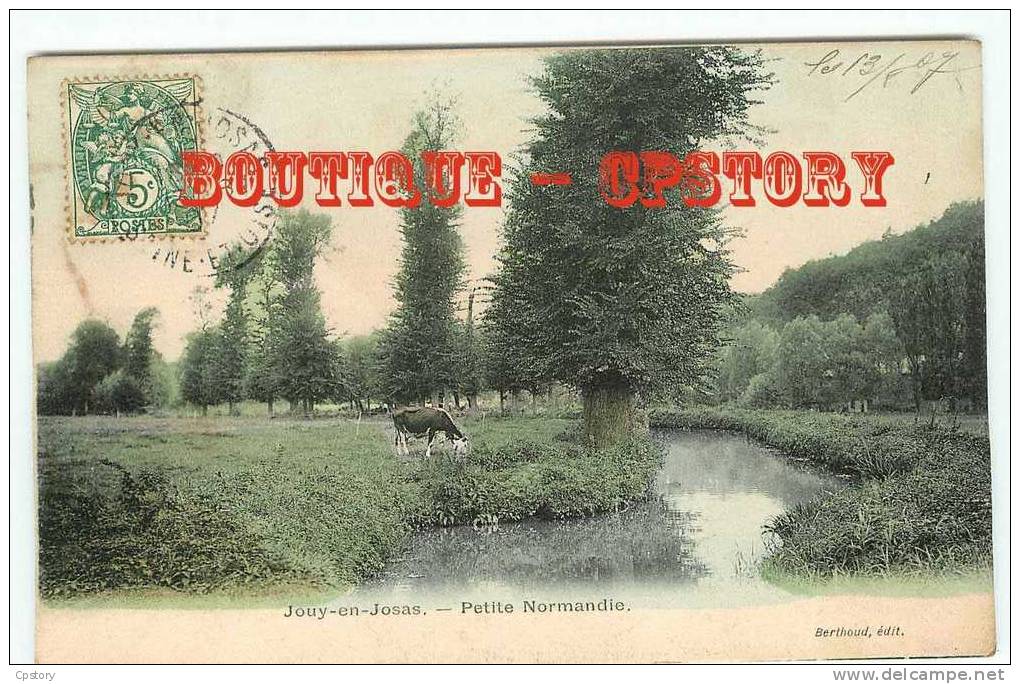 78 - JOUY En JOSAS - Rare En Couleur - Petite Normandie - Vache Au Paturage - Dos Scané - Jouy En Josas