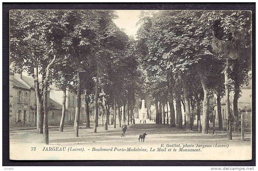 CPA  ANCIENNE- FRANCE- JARGEAU (45)- BOULEVARD PORTE-MADELEINE- LE MAIL ET LE MONUMENT AUX MORTS- ANIMATION - Jargeau