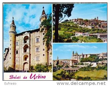 Saluti Da URBINO - Urbino