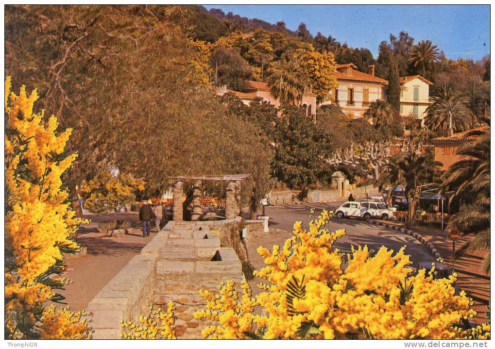 BORMES-LES-MIMOSAS - La Côte D´Azur - Une Vue Du Centre, Un Cox. Sur Le Parking - Circulée En 1982 - 2 Scans - Bormes-les-Mimosas