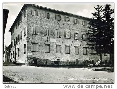 URBINO - Università VG58 - Urbino