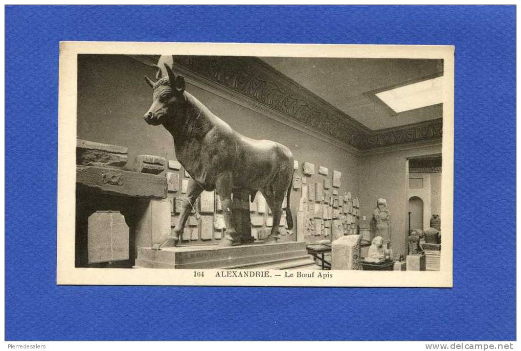 Animaux - Taureau - Le Boeuf Apis - Alexandrie - Musée - Egypte - Stieren