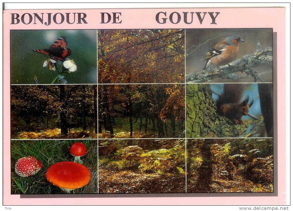 Bonjour De GOUVY - Gouvy