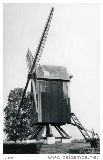 OOSTERZELE (O.Vl.) - Molen/moulin - Zwart-wit Postkaart Van De Verdwenen Vinkemolen (omgewaaid In 1983) - Oosterzele