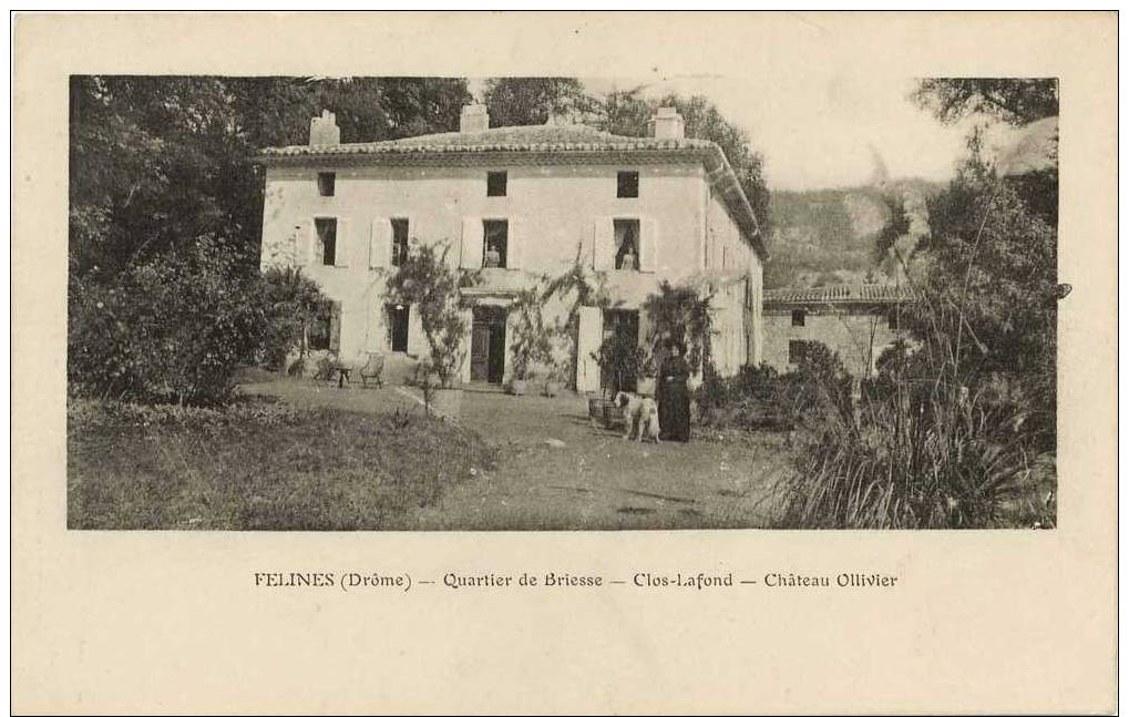 26- Felines Quartier De Briesse Clos Lafond Château Ollivier - Autres & Non Classés