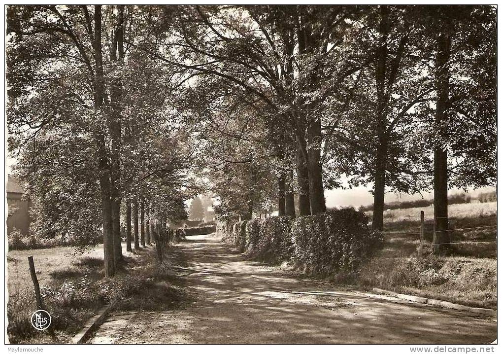 Lavacherie Allee Des Ecoles - Sainte-Ode