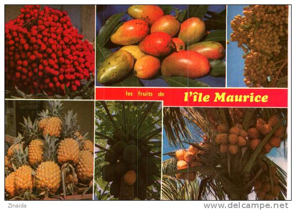 CARTE POSTALE DE L ILE MAURICE -  FRUITS LOCAUX - LETCHIS - MANGUE - LONGANNES - ANANAS - PAPAYES - COCOS - Mauritius