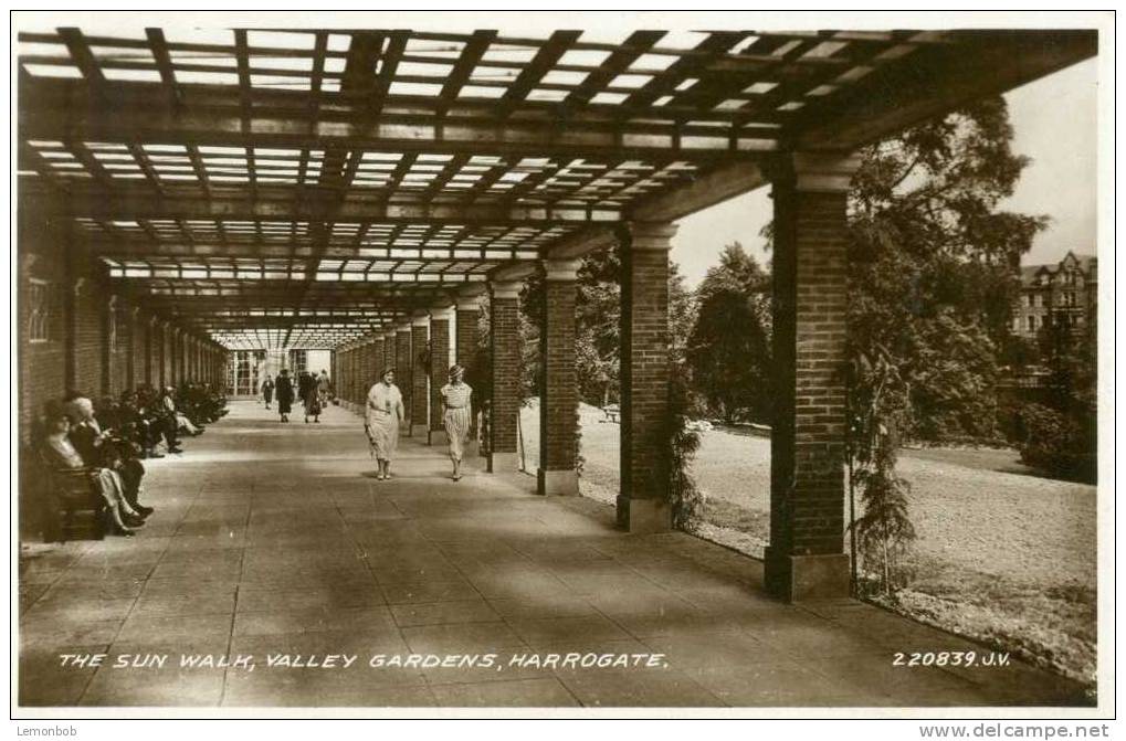 Britain United Kingdom - The Sun Walk, Valley Gardens, Harrogate - Early 1900s Real Photo Postcard [P1873] - Harrogate