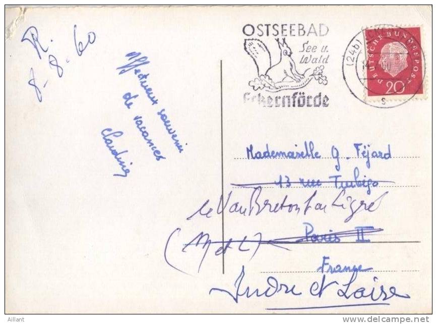 Allemagne  1960.  Ecureuil. Flamme Sur Carte Postale Pour La France - Covers & Documents