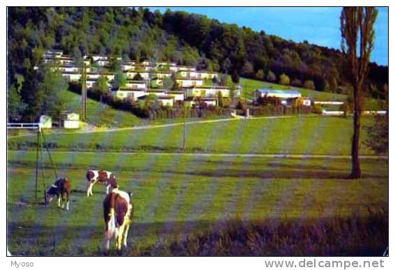 68 FERRETTE Chalet Vacances E.D.F, Vaches - Ferrette