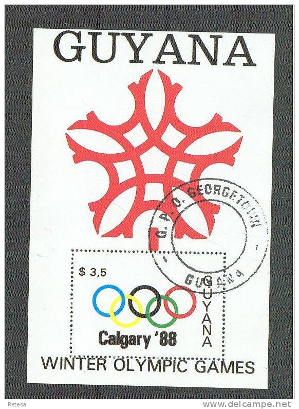 GUYANE  BLOK  OLYMPISCHE SPELEN  CALGARY 1988 GESTEMPELD - Winter 1988: Calgary