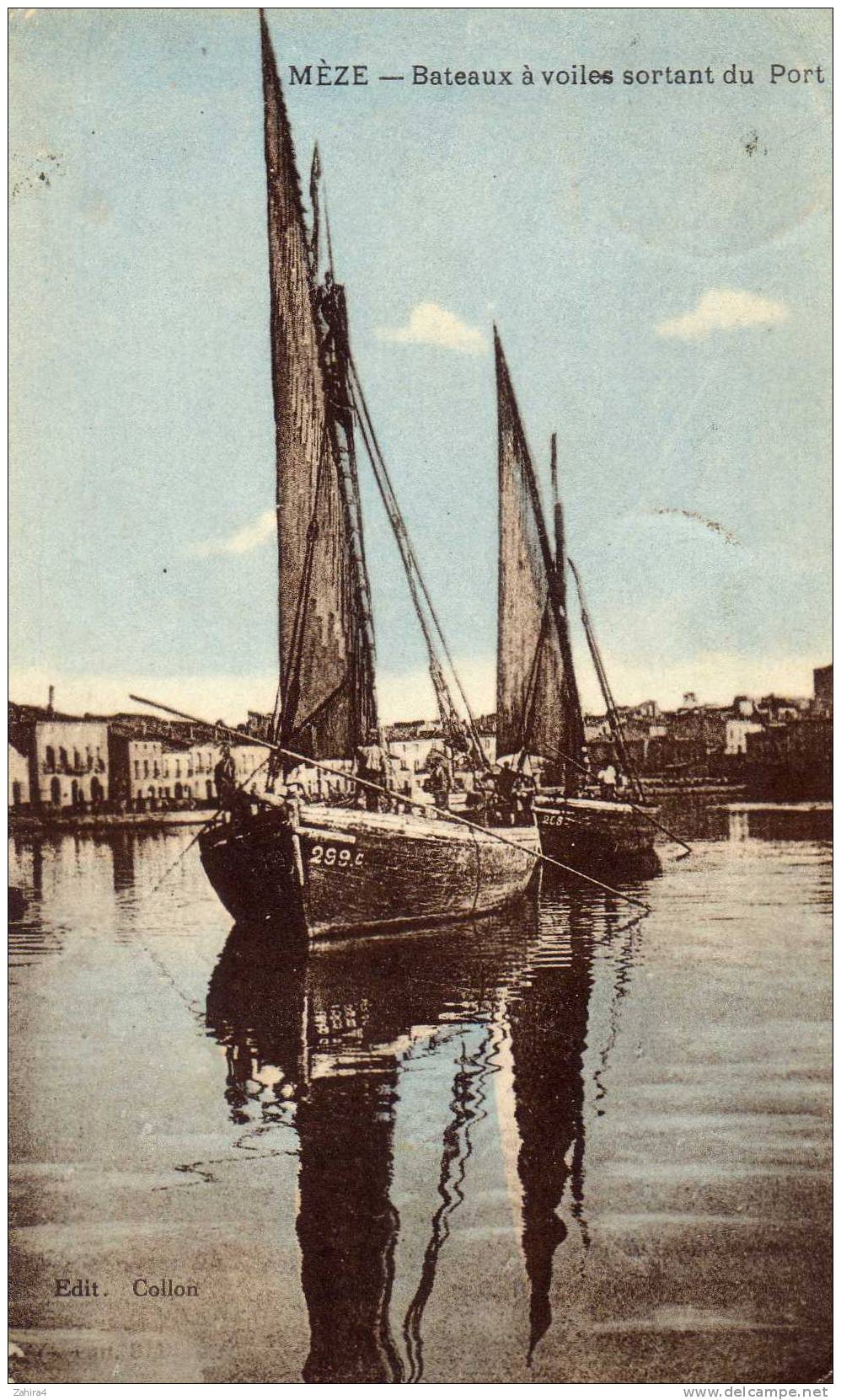 Meze  -  Bateaux à Voiles Sortant Du Port - Mèze