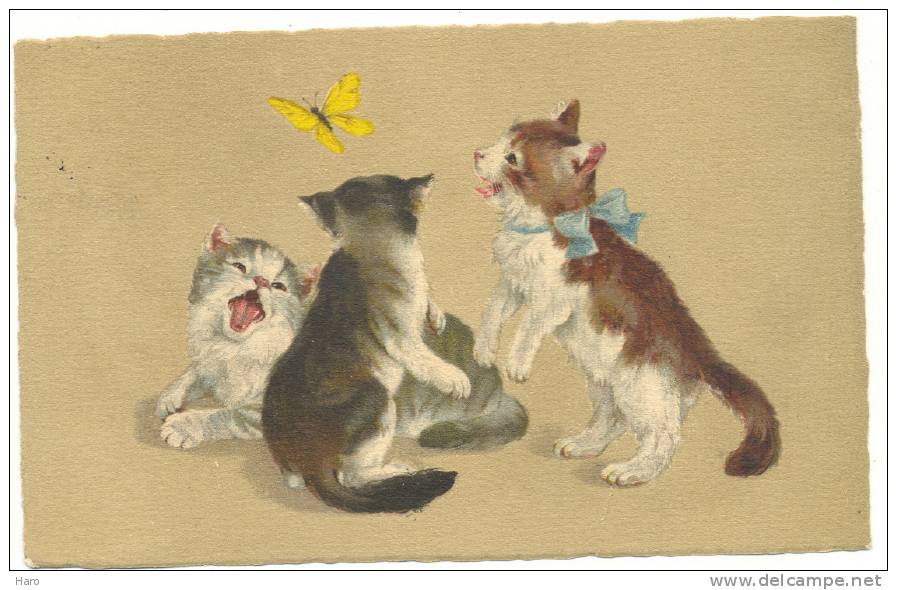 FANTAISIE - Chat - Trois Chatons Jouant Avec Un Papillon - Dessin(1825)mx - Cats