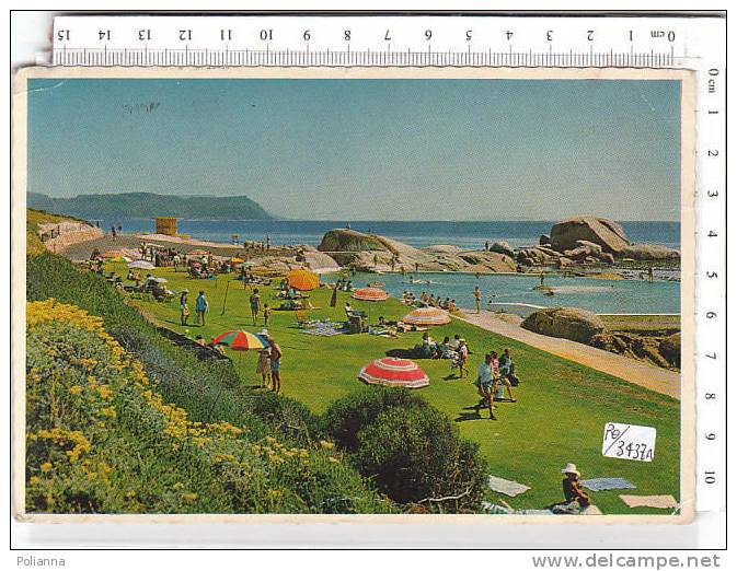 PO3437A# SYDNEY - MILLER'S POINT - PIC NIC And SWIMMING PARADISE  VG 1966 - Sydney