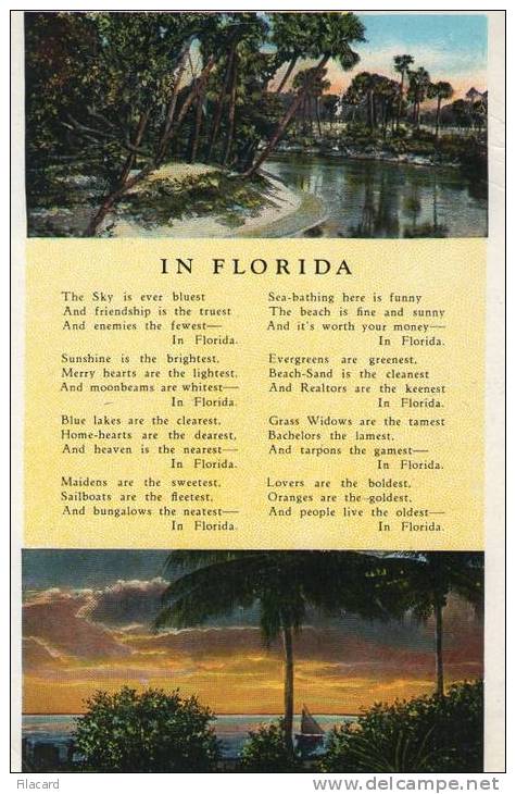 11812   Stati  Uniti  In   Florida  VG  1931 - Clearwater