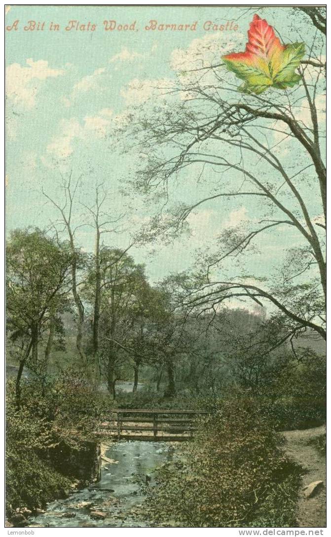 Britain United Kingdom - A Bit In Flats Wood, Barnard Castle - Early 1900s Postcard [P1891] - Other & Unclassified