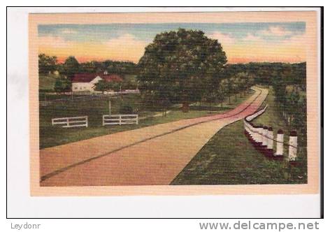 Road View - Pub. By Asheville Postcard Co., Asheville, North Carolina - American Roadside