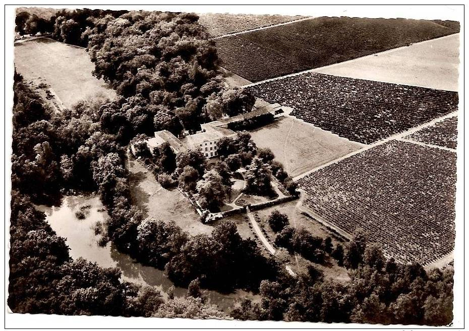 CP  33  SAINT EMILION  / CHATEAU DE FIGEAC  ...........1 - Saint-Emilion