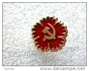 Celebration "1 May Day" ("International Day Of Worker´s Solidarity") / Old Soviet Badge USSR _61_c3107 - Berühmte Personen