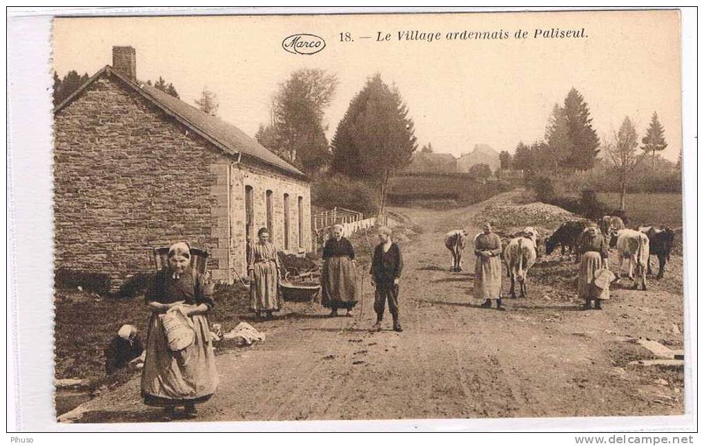 B3280   PALISEUL : Le Village Ardennais - Paliseul