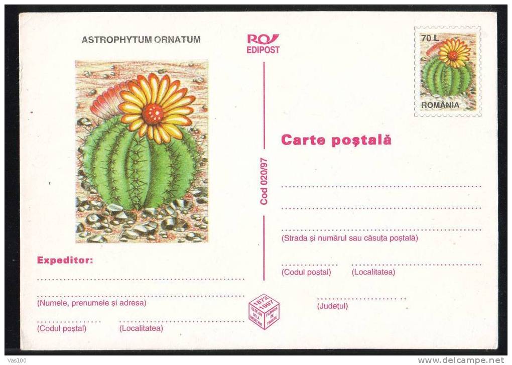 ROMANIA 1997 Entier Postaux Stationery POSTCARD,with Cactusses,cactus.(B) - Cactus