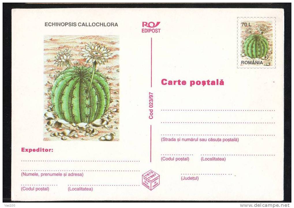 ROMANIA 1997 Entier Postaux Stationery POSTCARD,with Cactusses,cactus.(C) - Cactus