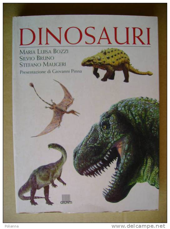 PI/27 Bozzi Bruno Maugeri DINOSAURI Giunti 1999/paleontologia - Adolescents